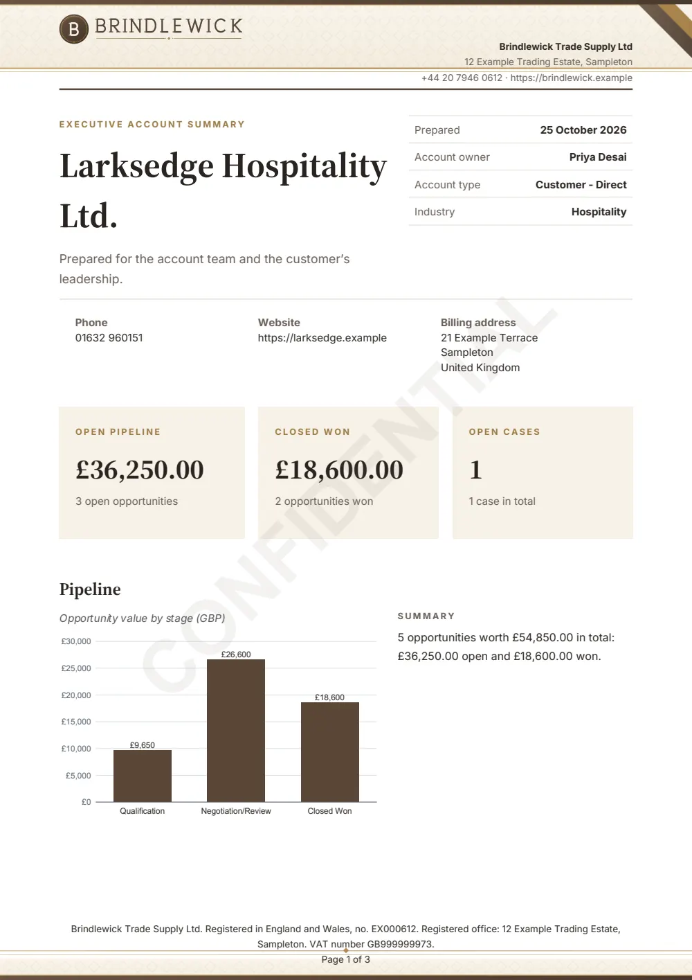 Page 1 of the executive account summary starter, made with the Brindlewick sample brand.