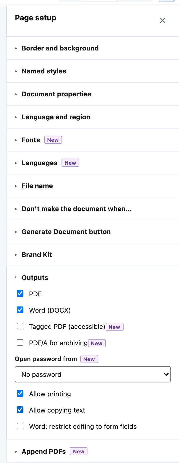 Page setup › Outputs: PDF and Word (DOCX) ticked, Tagged PDF, PDF/A for archiving, Open password from, printing and copying, and Word form-field editing.