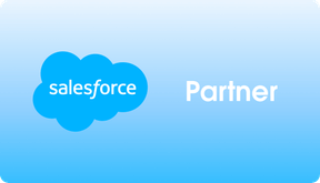 Salesforce Partner